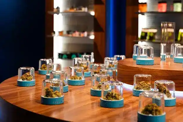 Culture House Dispensary