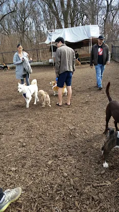 Cunningham Park Dog Run