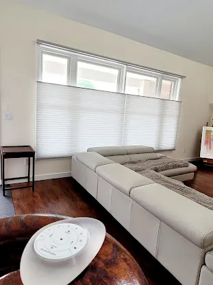 CurtainDeco Studio Blinds Shades 커튼 블라인드
