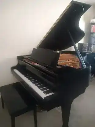 Damien DelRusso Expert Piano Tuning and Repairs