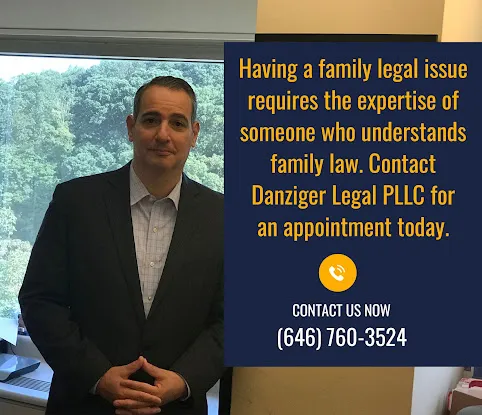 Danziger Legal PLLC