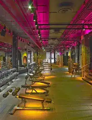 David Barton Gym