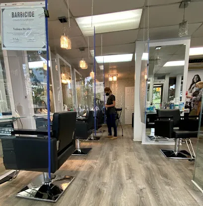 Davidov Hair & Spa