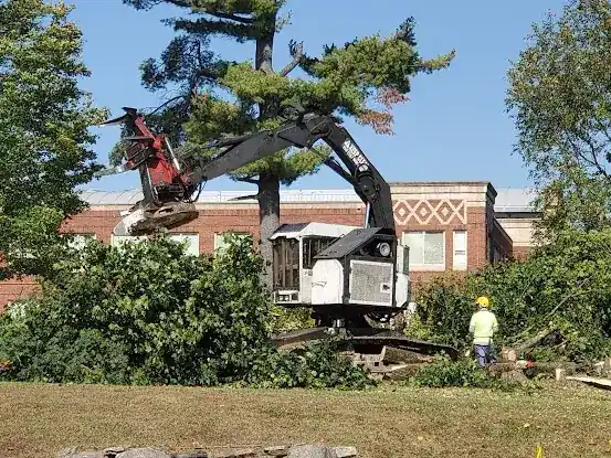 Davis Tree & Logging, LLC