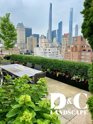 D&C landscape