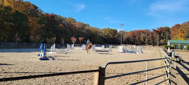 DDR Farm