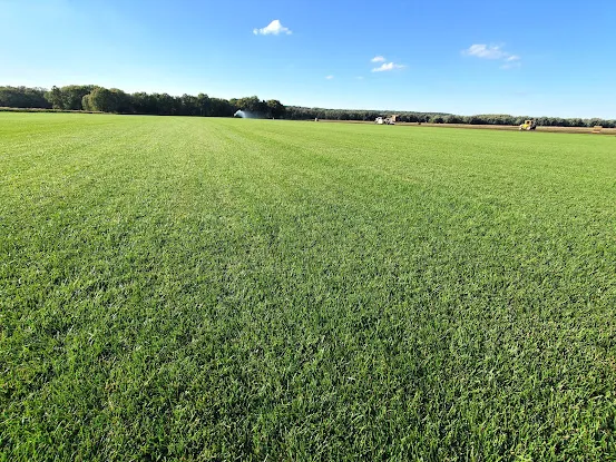 Debuck's Sod Farm of NY, Inc