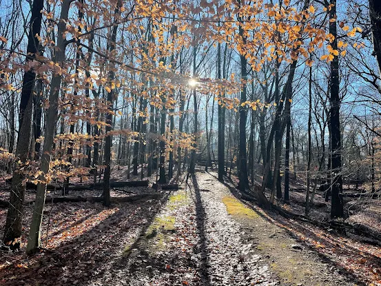 Deere Park