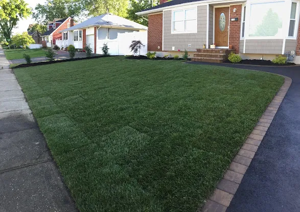 DeLalio Sod Farms Inc