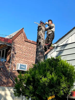 Dependable Lawn Care and Construction Corp