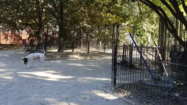 DiMattina Dog Run