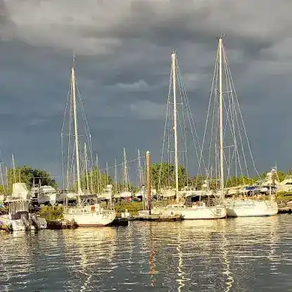 DiMeglio Marina