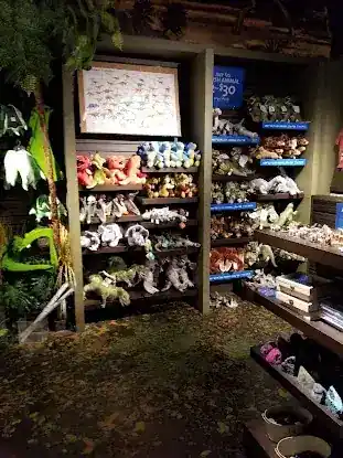 Dino Store