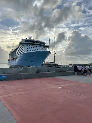 Direct Line Cruises