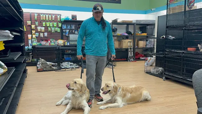 Disciplined Dog Trainer