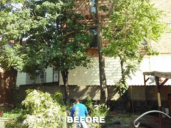 Discount Tree Cutting And Removal