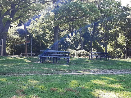 Discovery Park Volleyball Courts
