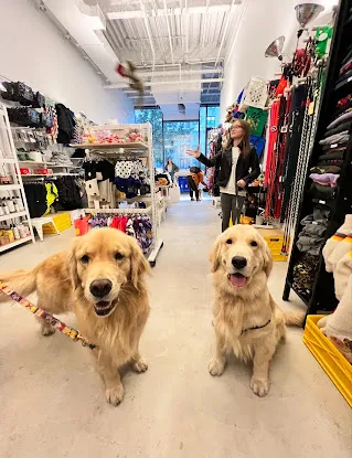 DOG & CO.