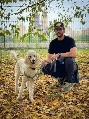 Dog’s King Pet Care