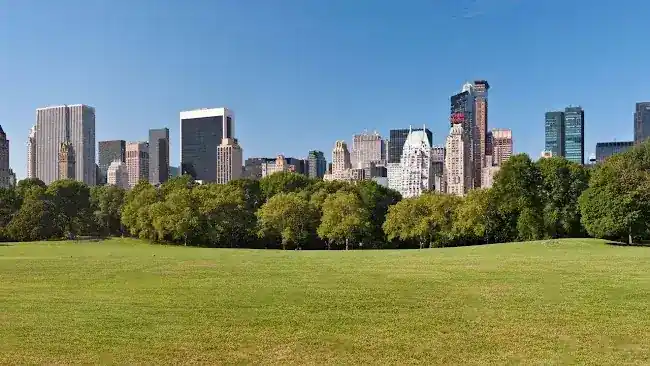 Dot Realty NYC