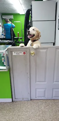 Downtown Woody's Grooming