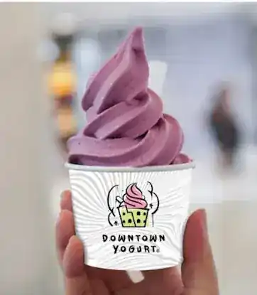 Downtown Yogurt World Trade Center