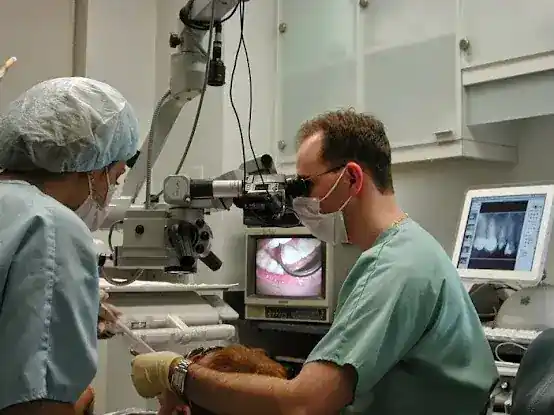 Dr. Aleksander Iofin, DMD