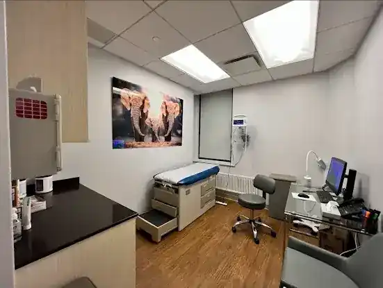 Dr. Dana Zhao