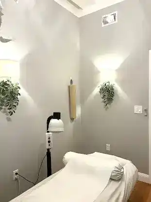 Dr. Erica Ng Acupuncture PLLC