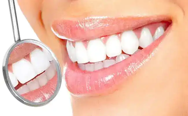Dr. Steven Johnson, DDS