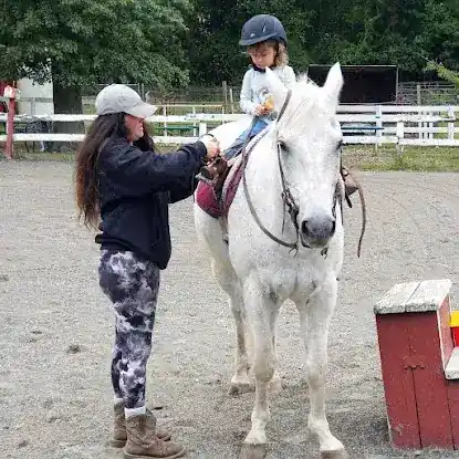 Dream Riders Horse Farm