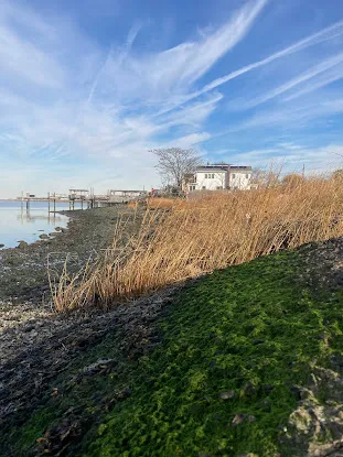 Dubos Point Wildlife Sanctuary