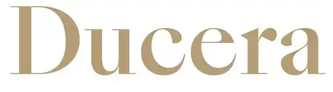 Ducera Partners LLC