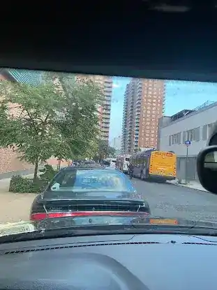 Early LIFE Harlem