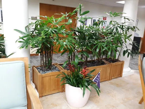 Earthborn Plant Care