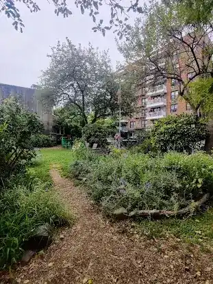 East 4th Street Community Garden