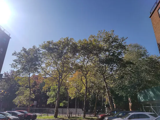 East River Housing Corporation