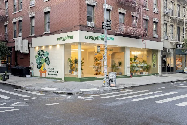 easyplant Nolita