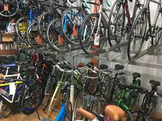 Echelon Cycles