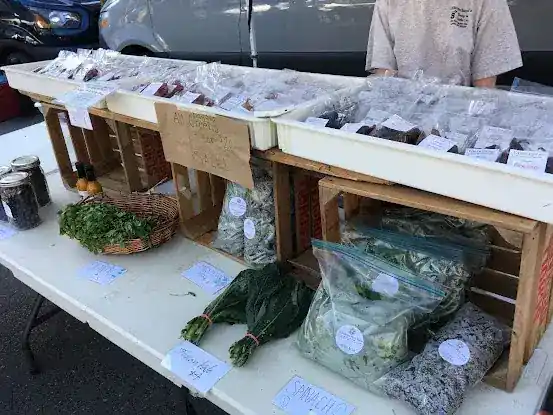 Eckerton Hill Farm - Union Square