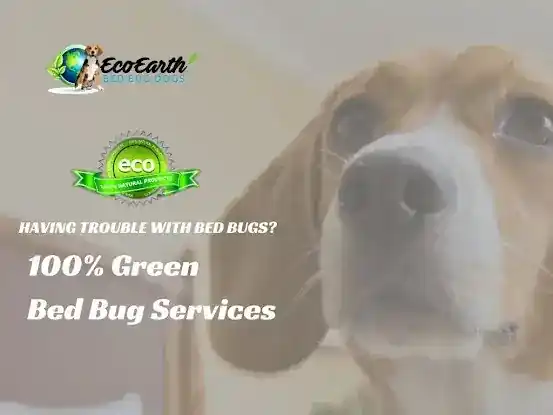Eco Earth Bed Bug Dogs