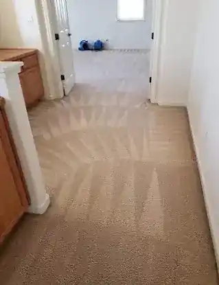 Eco Green Carpet & Upholstery Cleaning