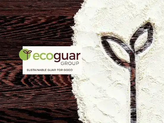 Eco Guar Group LLC