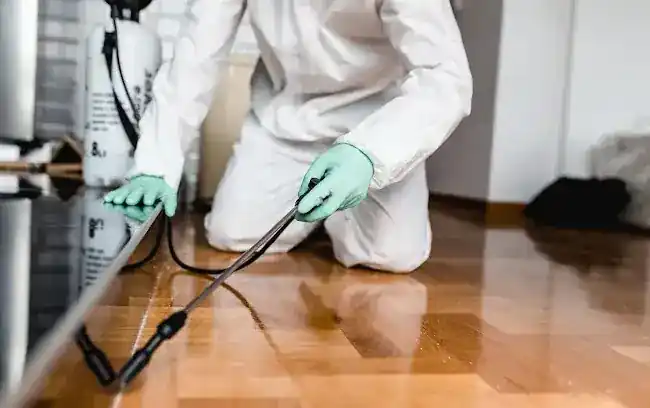 Eco-Plus Pest Management Corp.