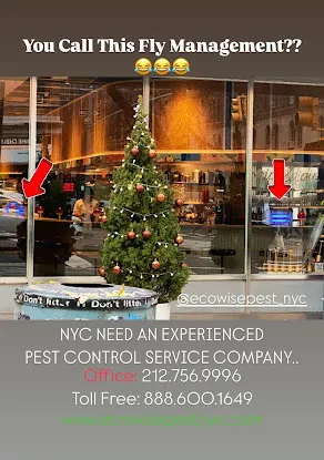 Ecowise Pest Control NYC