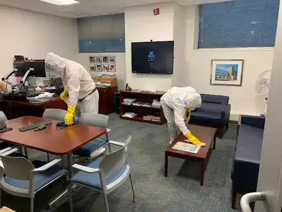 Edelweiss KH - Mold and Asbestos Removal Specialists