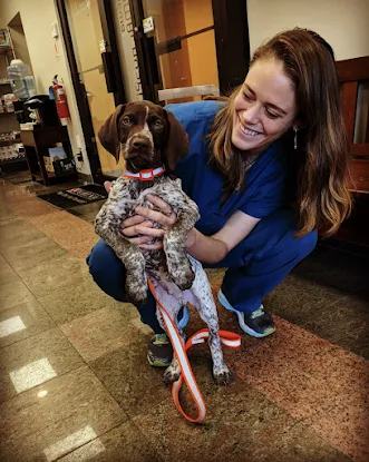 Edgewater Animal Hospital