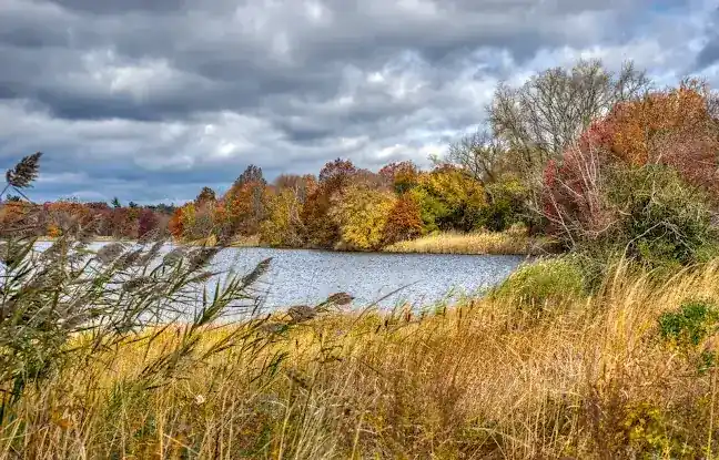 Edith G. Read Natural Park and Wildlife Sanctuary