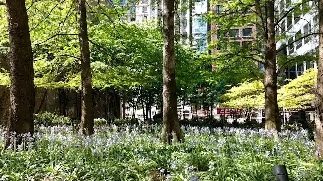 Edward J. Minskoff Equities and Marsh & McLennan pocket park