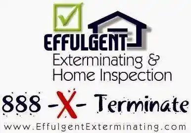 Effulgent Exterminating & Home Inspection
